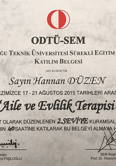ODTÜ-SEM